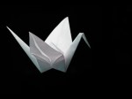 Challenge 11: 100 Origami Cranes